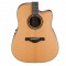 قیمت خرید فروش گیتار آکوستیک Ibanez AW250ECE LG